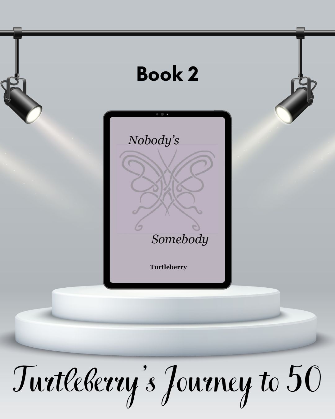 book 2 Nobody's Somebody Turtleberry's Journey to 50
