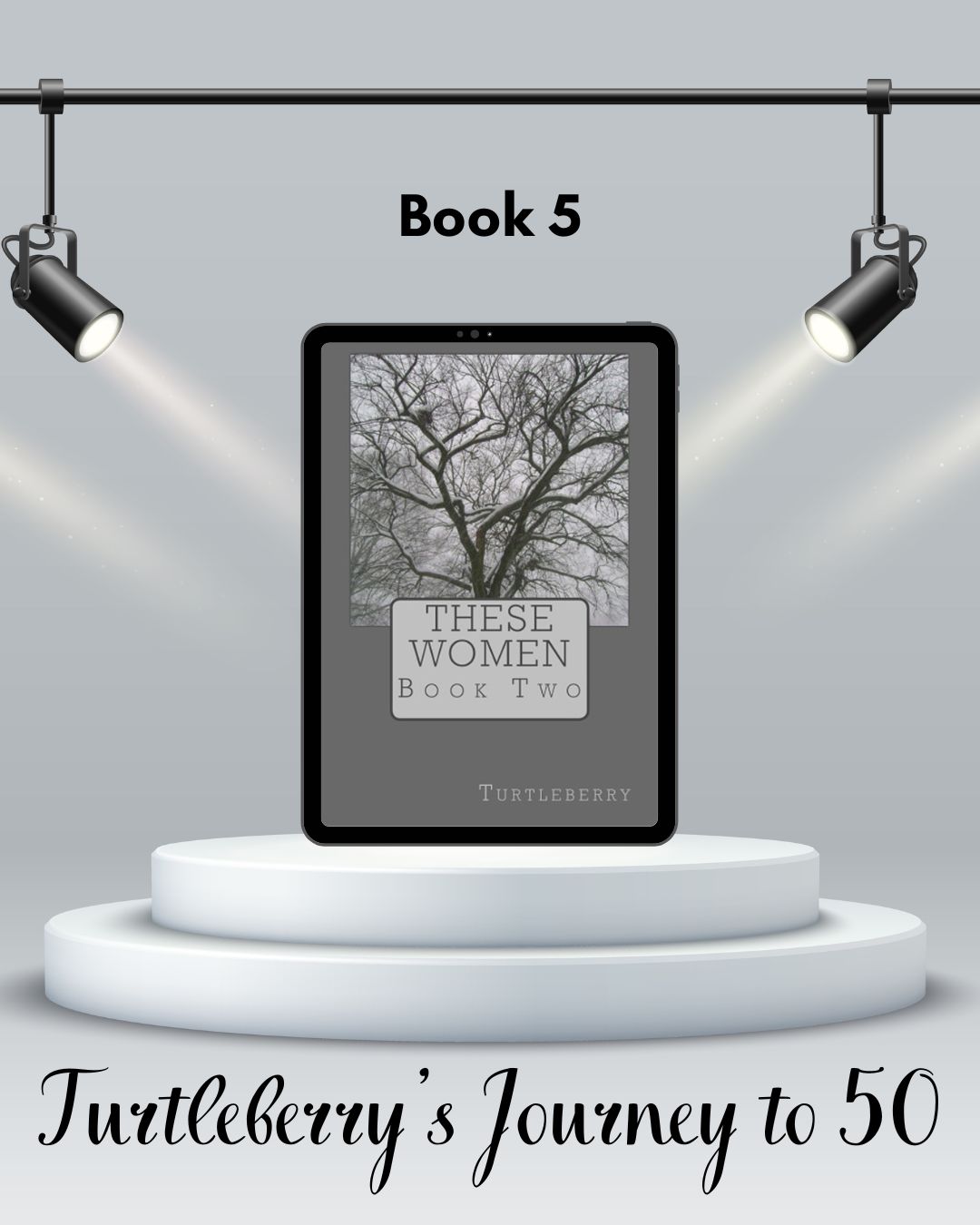 Turtleberry's Journey to 50 Book 5 These Women Book 2