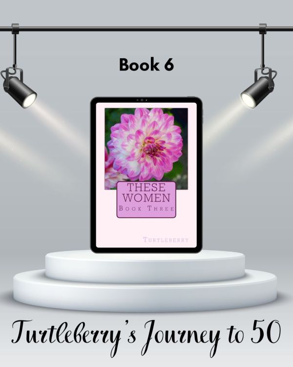 Journey to 50 Book 6 These Women Book 3