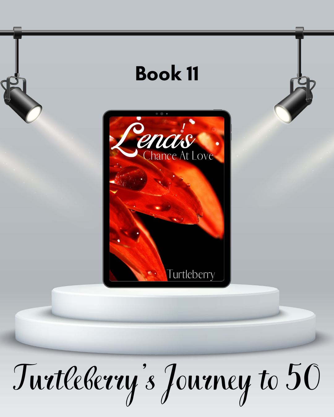 book 11 journey to 50 Lena's Chance At Love