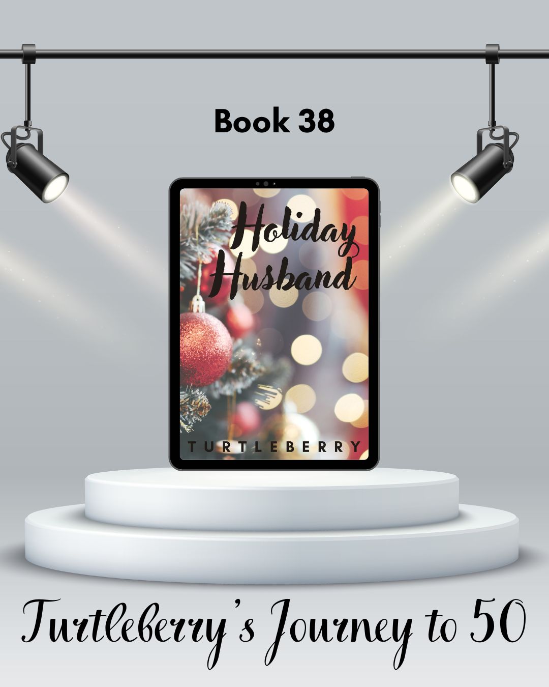 journey to 50 book 38 holiday husband
